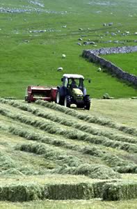 hay baling